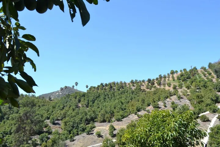 0 W Sandia Creek, Fallbrook, California 92028
