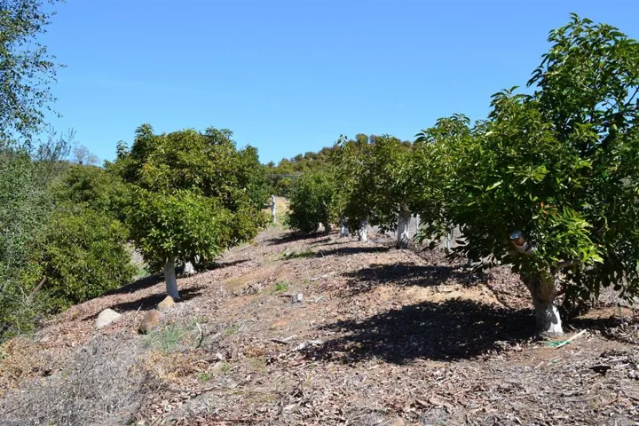 0 W Sandia Creek, Fallbrook, California 92028