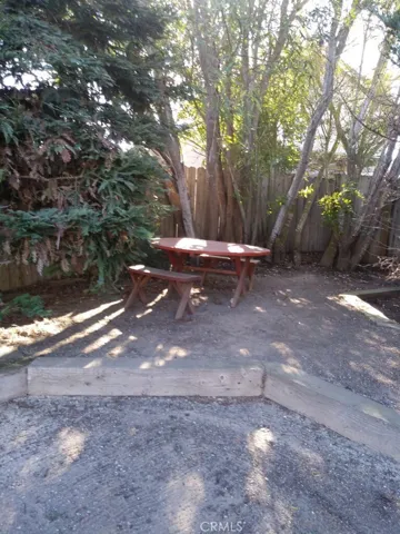 Backyard picnic area
