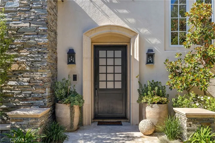 Custom Metal front door with frosted glass.