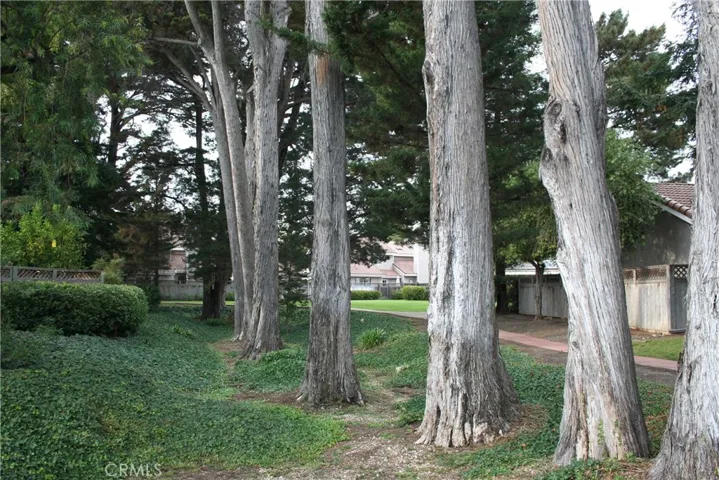 219 Via La Paz, San Luis Obispo, California 93401