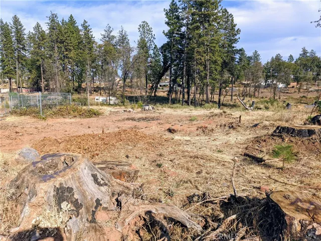 Picture taken from the end of the driveway looking to the other side of the property. The perimeter is right before the border of trees.