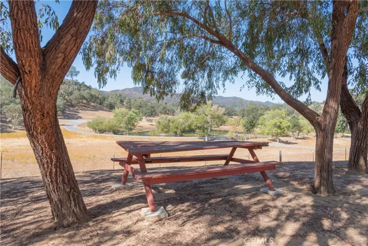 Come picnic, overlooking "Donut Pond"