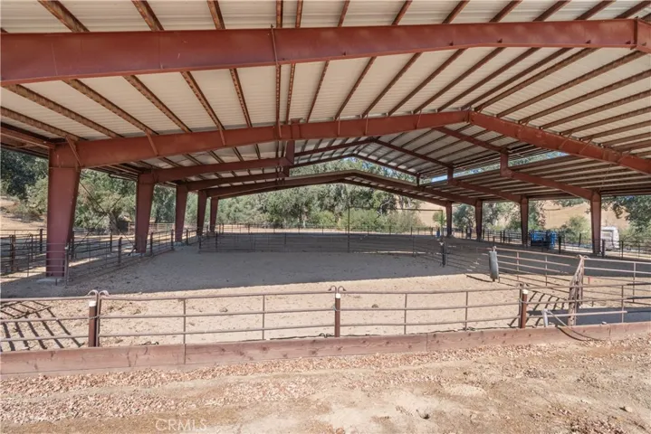 Level with sand base, set up for cattle sorting