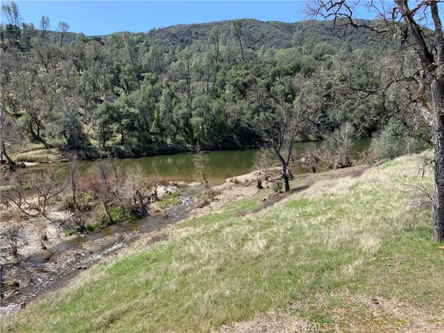 Duck Pond in the Spring