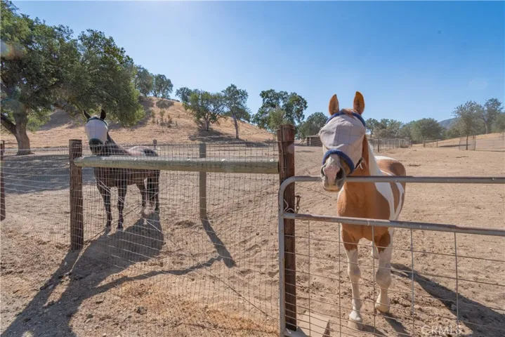 , Bradley, California 93426