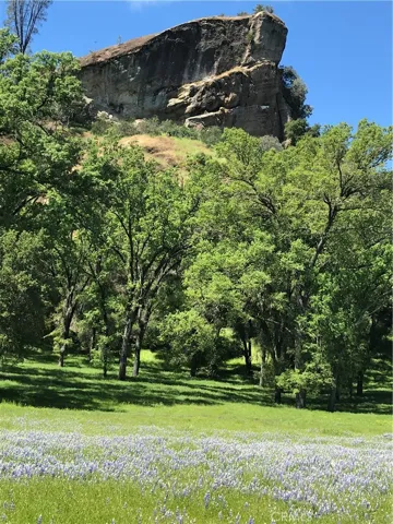 , Bradley, California 93426
