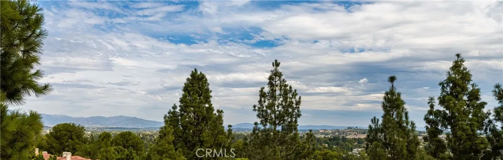 Panoramic View
