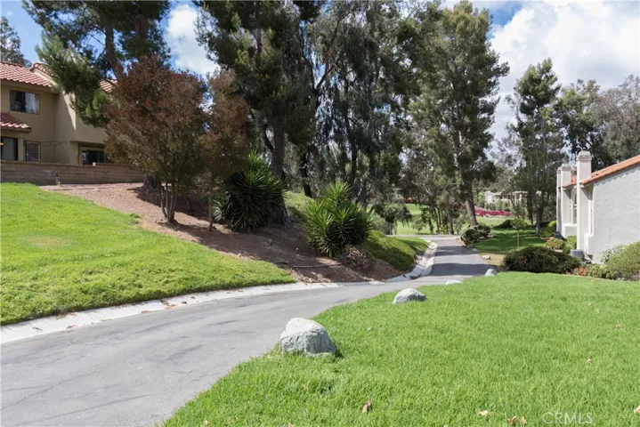 Great paths for exercise and dog walking!
