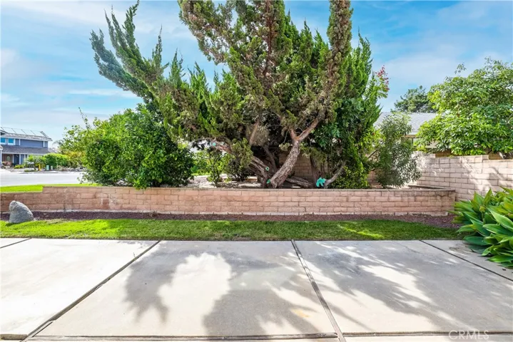 Back yard large cement paito