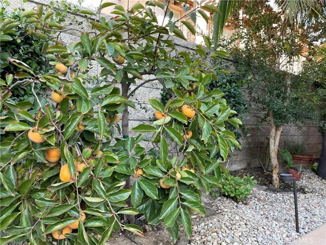 17791 Via Roma, Yorba Linda, California 92886