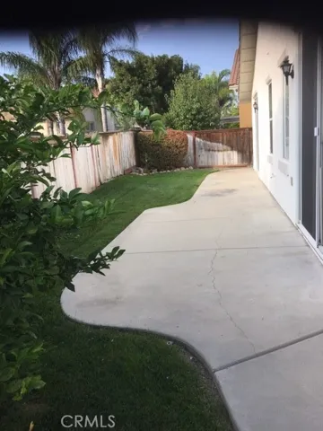 Back yard