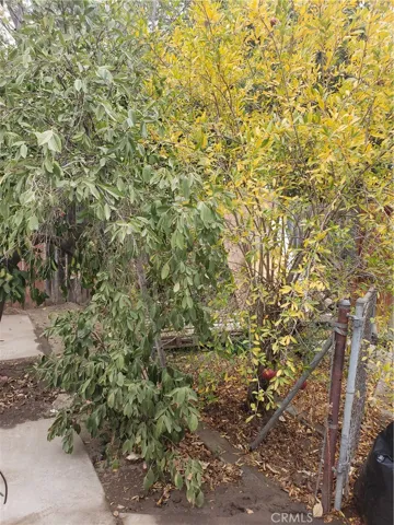 3137 N H Street, San Bernardino, California 92405