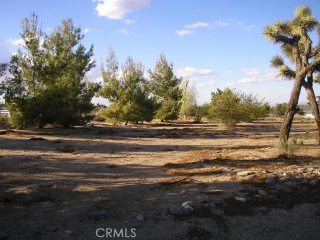 9241 Avalon Road, Phelan, California 92371