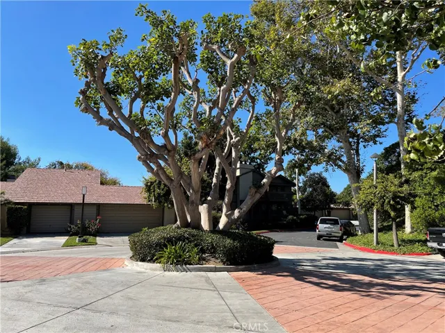 Neighborhood has mature beautiful trees.