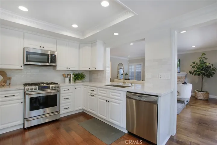 27132 Pinario, Mission Viejo, California 92692