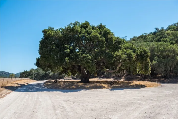 Temettate Road