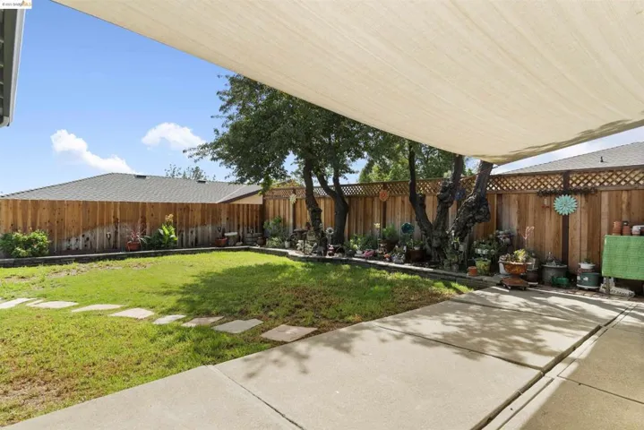Back Patio