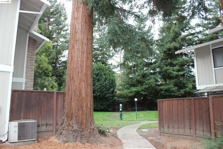 1061 San Ramon Valley Blvd, Danville, California 94526