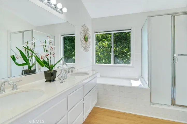 Walk in shower and soaking tub