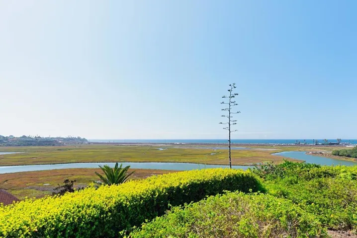2402 Caminito Ocean Cove, Cardiff By The Sea, California 92007