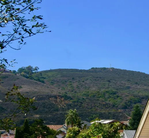 View of Mt. Soledad from backyard