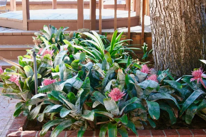 2615 Curie Place, San Diego, California 92122