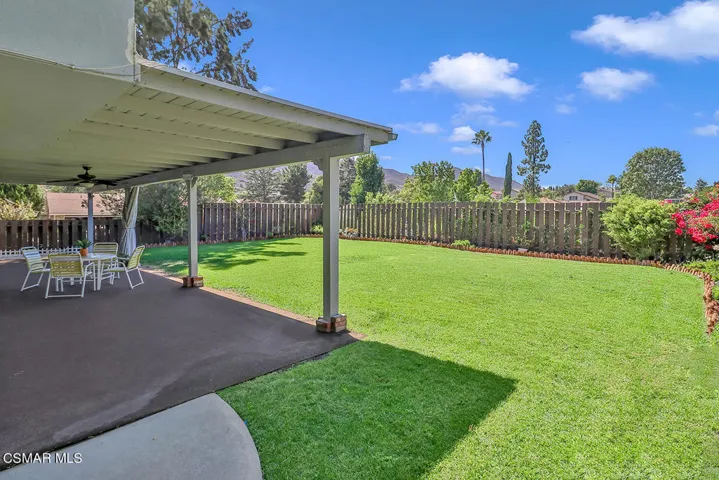 lBackyard6