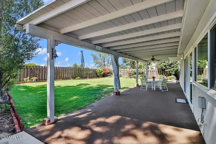 lBackyard1