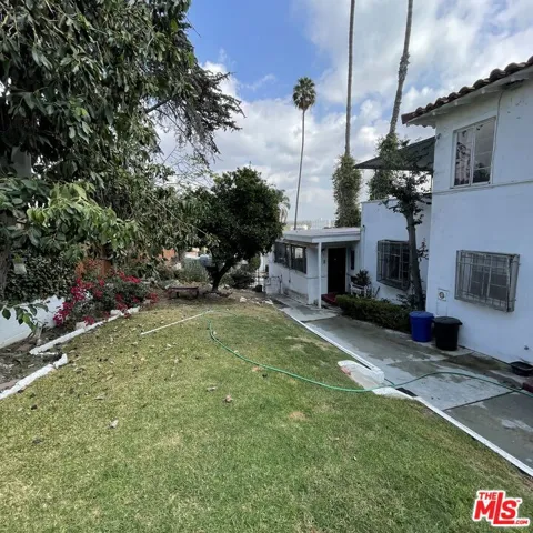 Back Yard