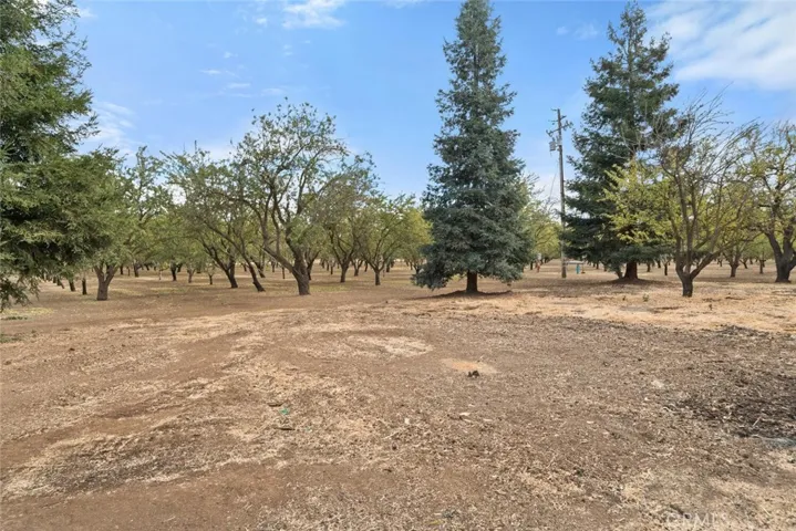 9704 Cummings Road, Durham, California 95938