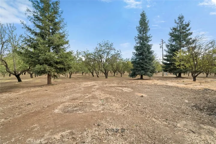 9704 Cummings Road, Durham, California 95938