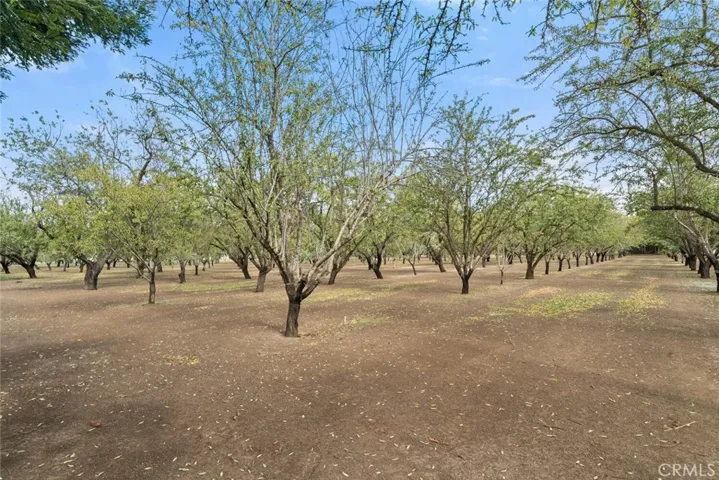 9704 Cummings Road, Durham, California 95938