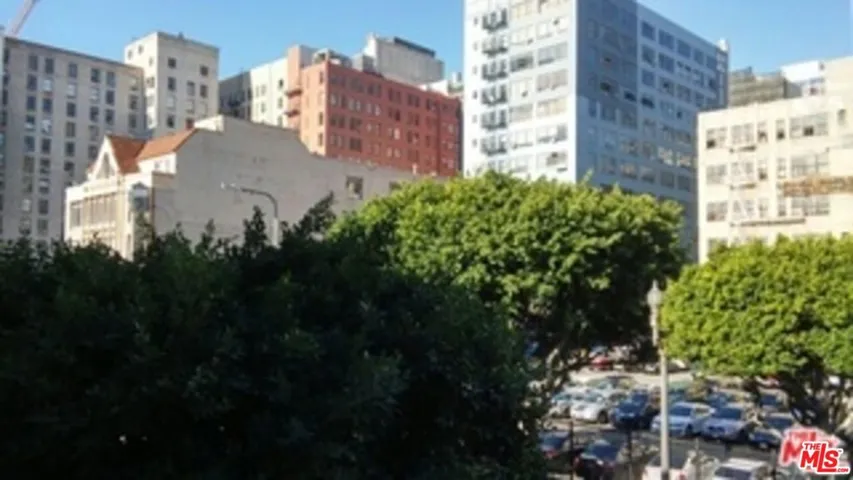 812 S Spring Street 2, Los Angeles, California 90014
