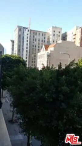 812 S Spring Street 2, Los Angeles, California 90014