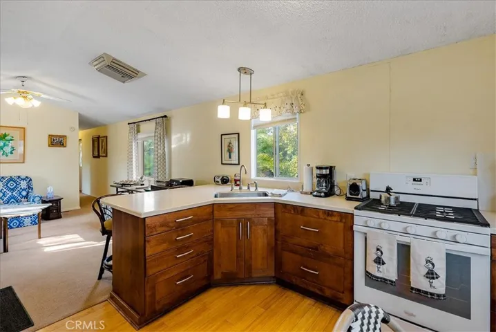 Guest kitchen/living room