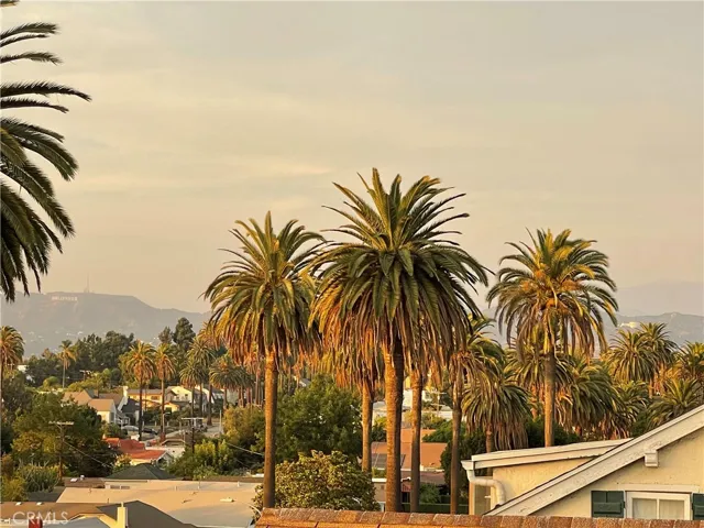 1174 S Victoria Avenue, Los Angeles, California 90019