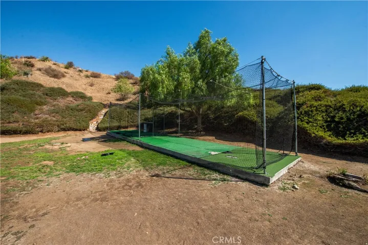 Phenomenal batting cage