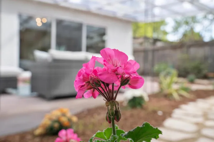 , Sunnyvale, California 94085