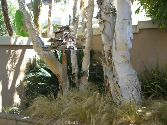 9 Calvados, Newport Coast, California 92657