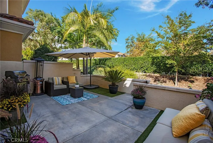 Artificial turf and natural gas to your BBQ and heater - never leave a party for propane again!