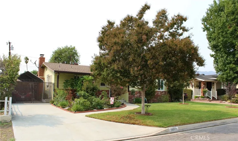 Long Cement Driveway!