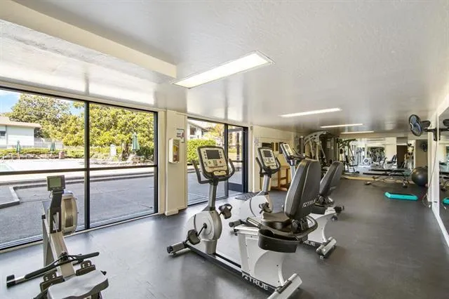 , San Mateo, California 94403