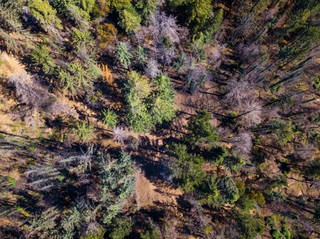 , Boulder Creek, California 95006
