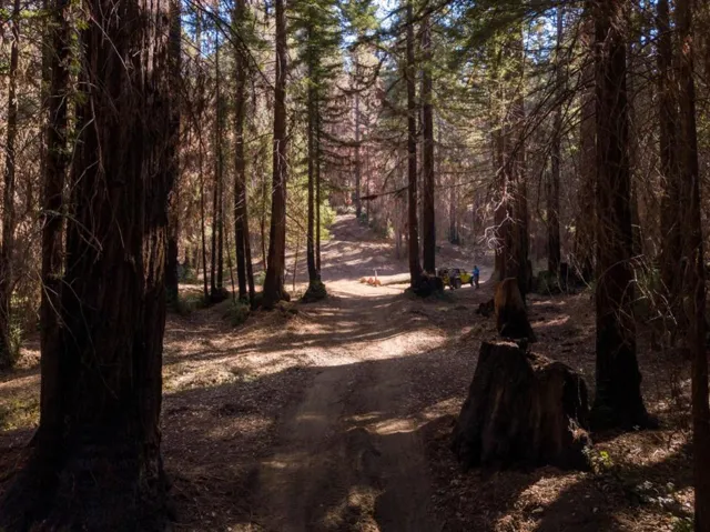 , Boulder Creek, California 95006
