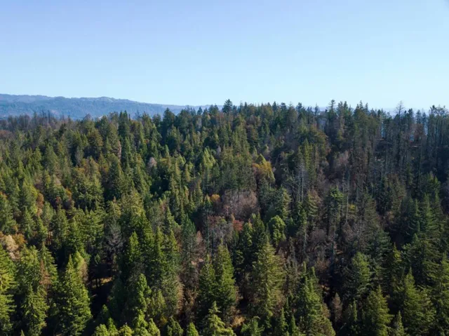 , Boulder Creek, California 95006