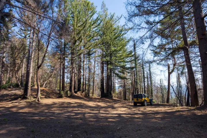 , Boulder Creek, California 95006