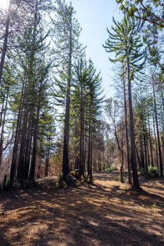 , Boulder Creek, California 95006