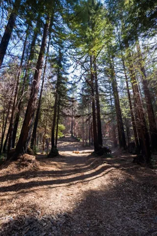 , Boulder Creek, California 95006