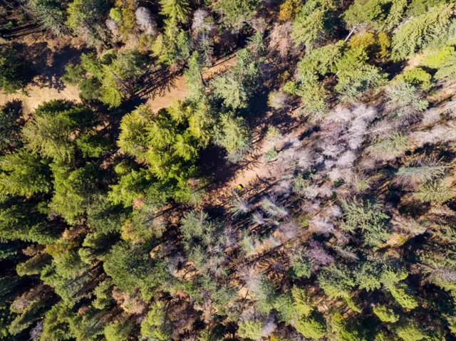 , Boulder Creek, California 95006